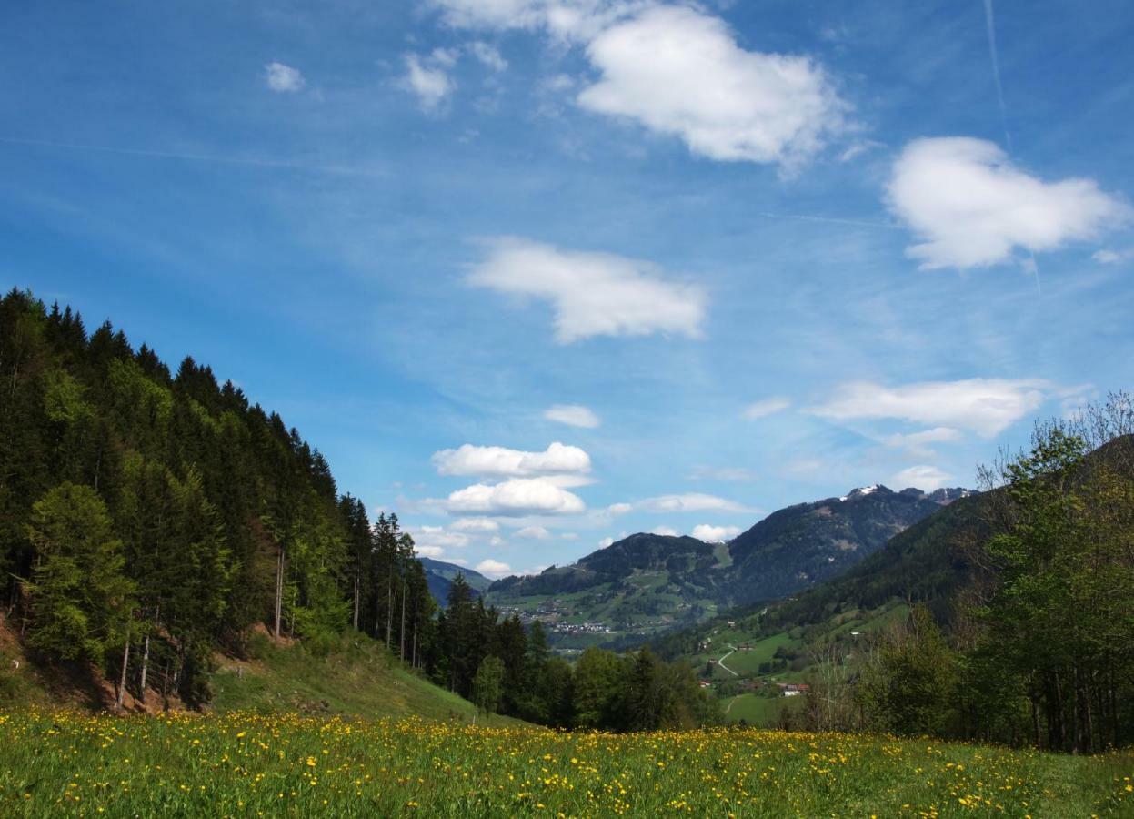 Farm stay Unterhofgut Goldegg