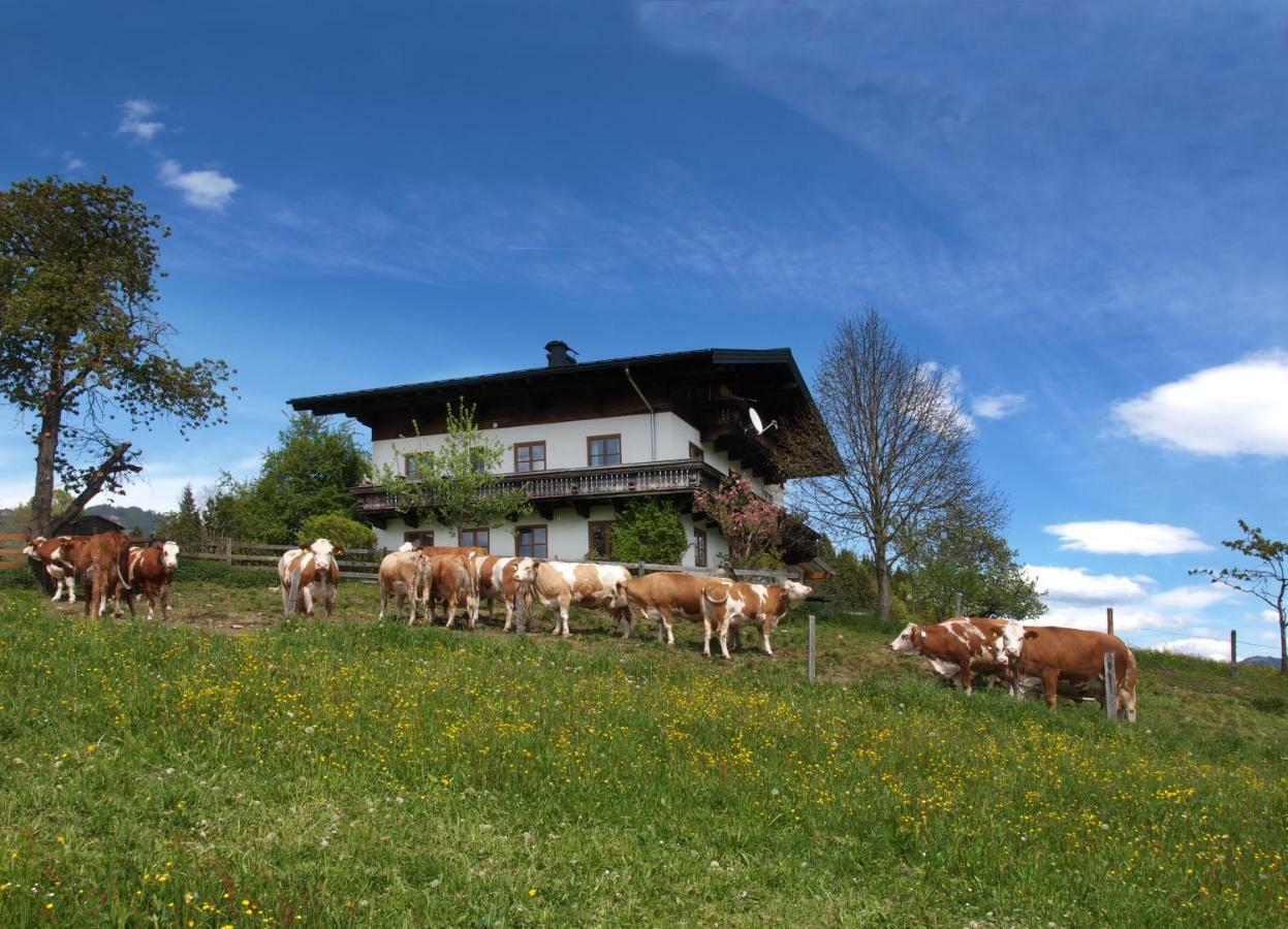 Unterhofgut *