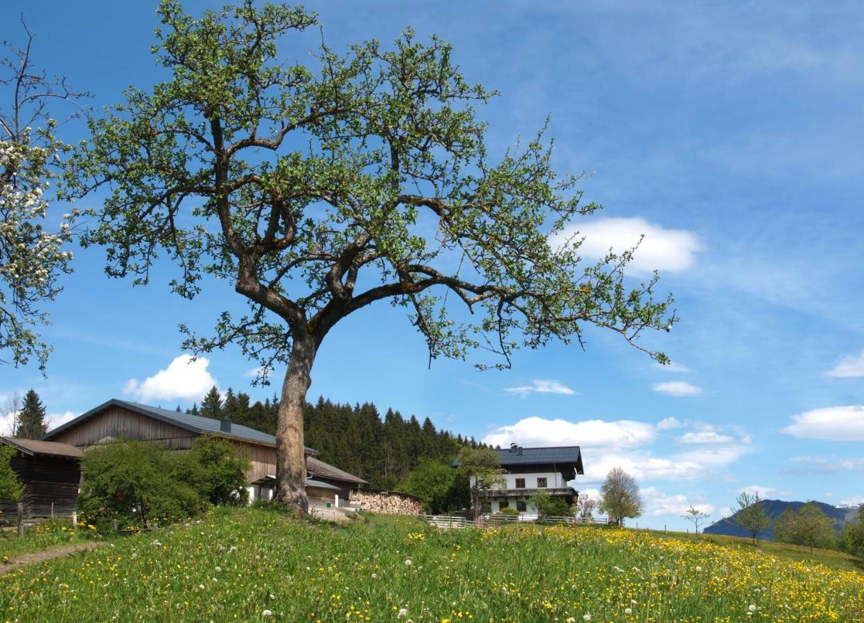Unterhofgut *