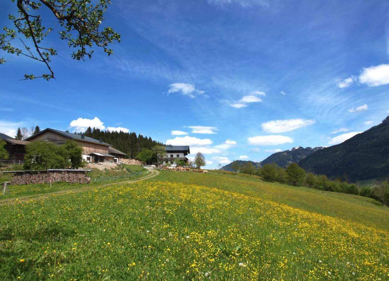 Unterhofgut Goldegg