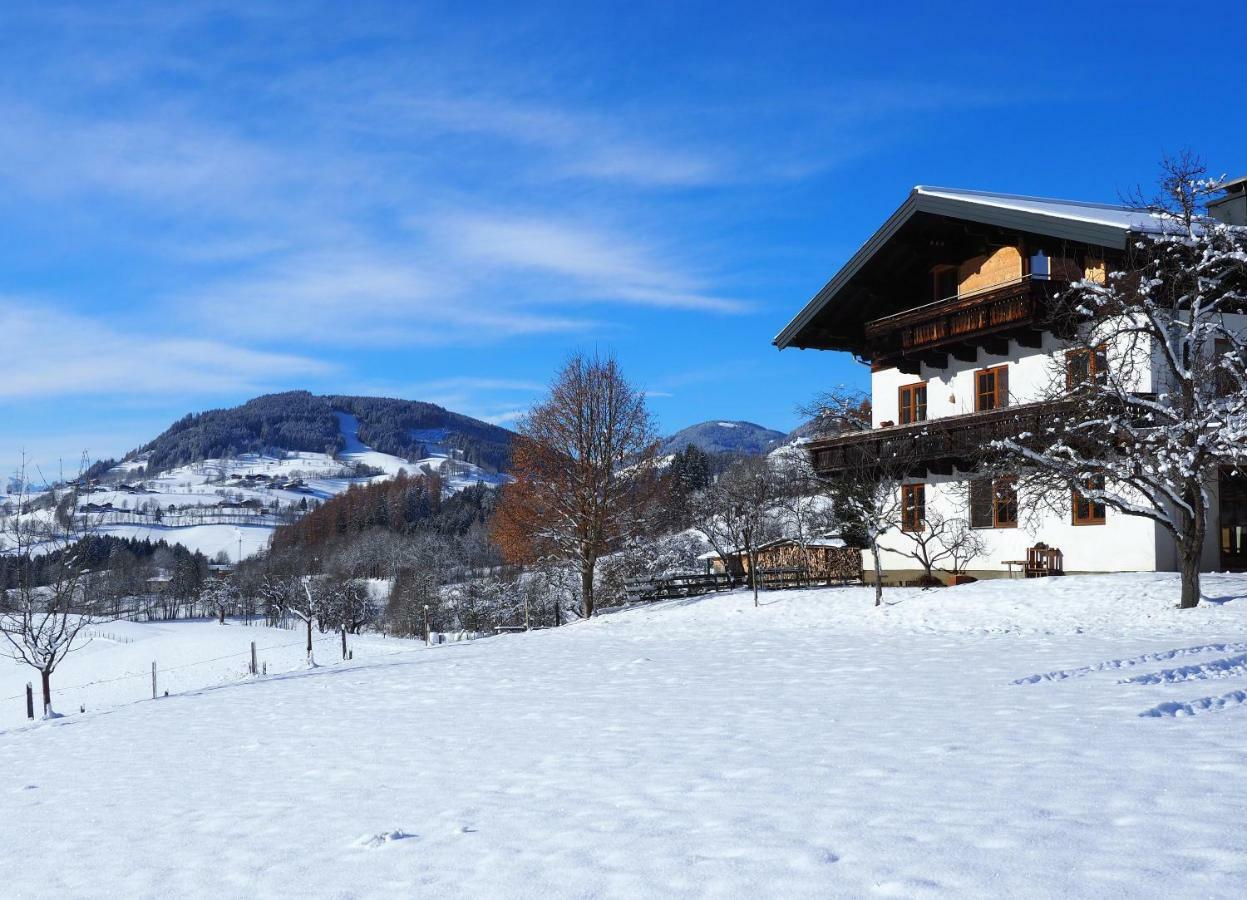 Unterhofgut Farm stay *